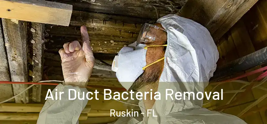  Air Duct Bacteria Removal Ruskin - FL
