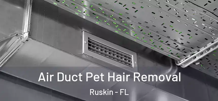 Air Duct Pet Hair Removal Ruskin - FL