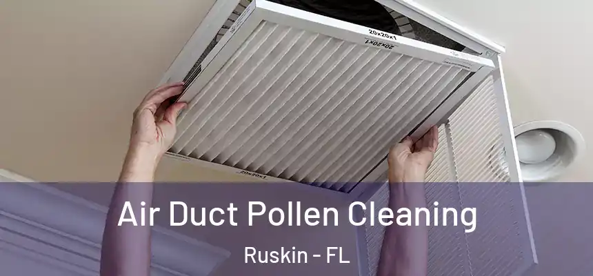  Air Duct Pollen Cleaning Ruskin - FL