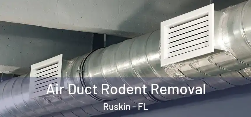  Air Duct Rodent Removal Ruskin - FL