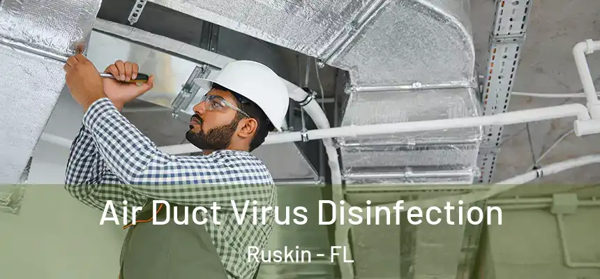  Air Duct Virus Disinfection Ruskin - FL