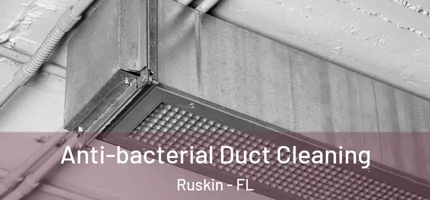  Anti-bacterial Duct Cleaning Ruskin - FL