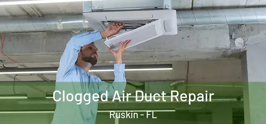  Clogged Air Duct Repair Ruskin - FL