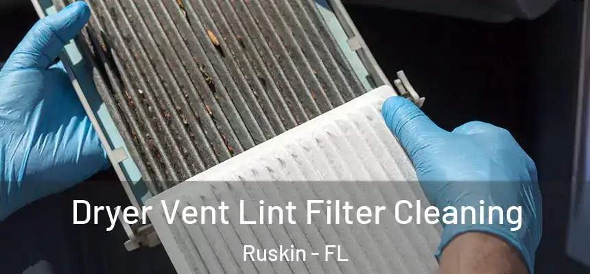  Dryer Vent Lint Filter Cleaning Ruskin - FL