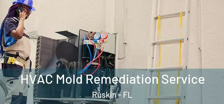 HVAC Mold Remediation Service Ruskin - FL
