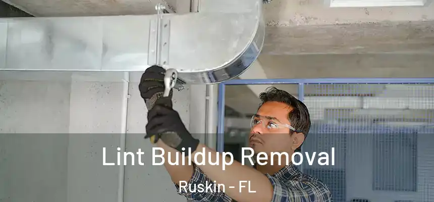 Lint Buildup Removal Ruskin - FL