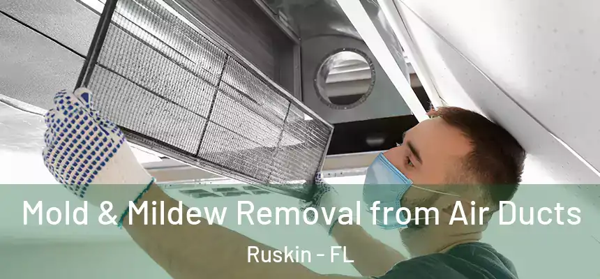 Mold & Mildew Removal from Air Ducts Ruskin - FL
