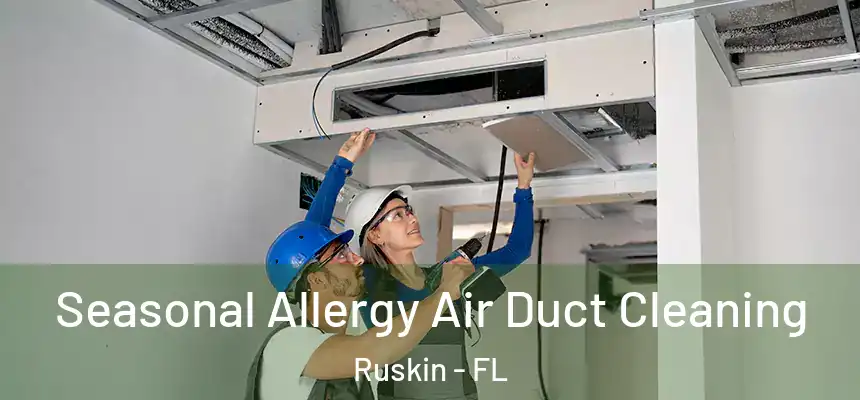 Seasonal Allergy Air Duct Cleaning Ruskin - FL