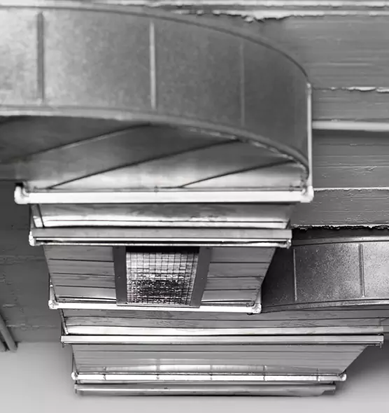 Professional Air Duct Pet Hair Removal in Ruskin, FL
