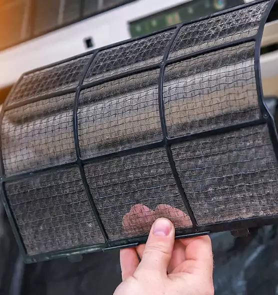 About Pet Dander Duct Cleaning in Ruskin, FL